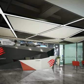 美加獅公司深圳辦公室設(shè)計